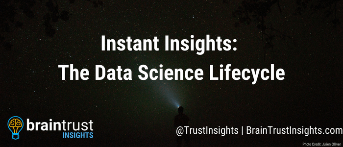Instant Insights_ The Data Science Lifecycle