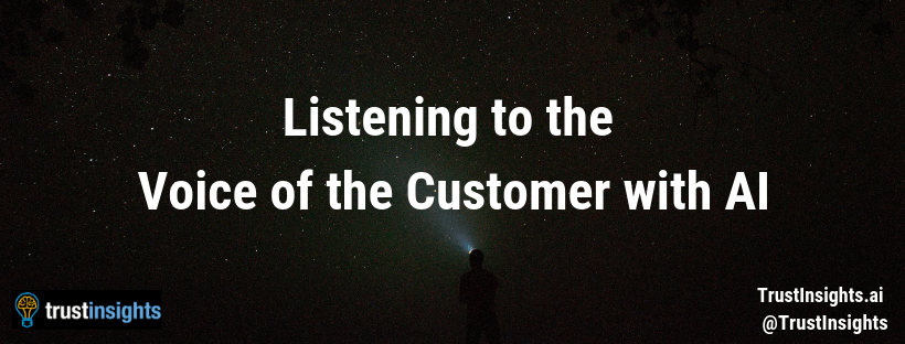 Listening to the Voice of the Customer with AI