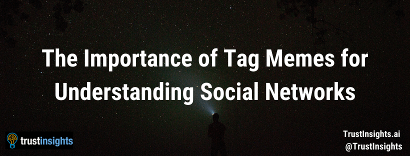 The Importance of Tag Memes for Understanding Social Networks