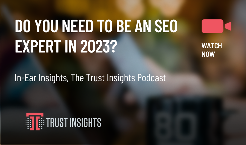 DO YOU NEED TO BE AN SEO EXPERT IN 2023