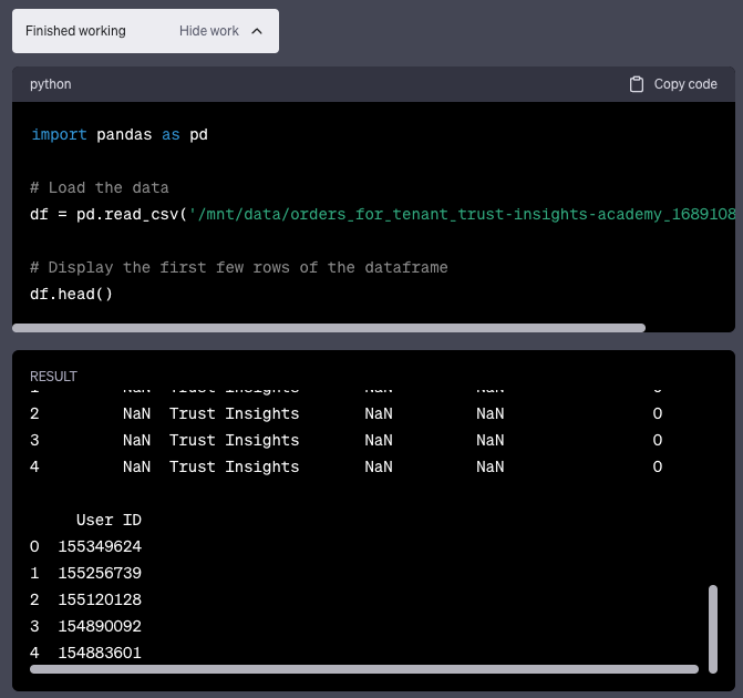 Code Interpreter