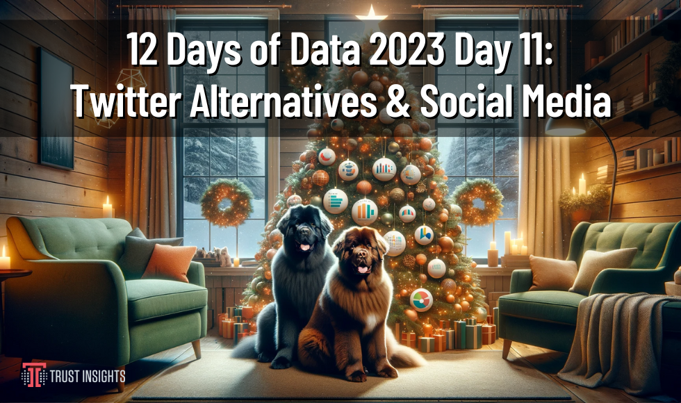 12 Days of Data 2023 Day 11 Twitter Alternatives and Social Media