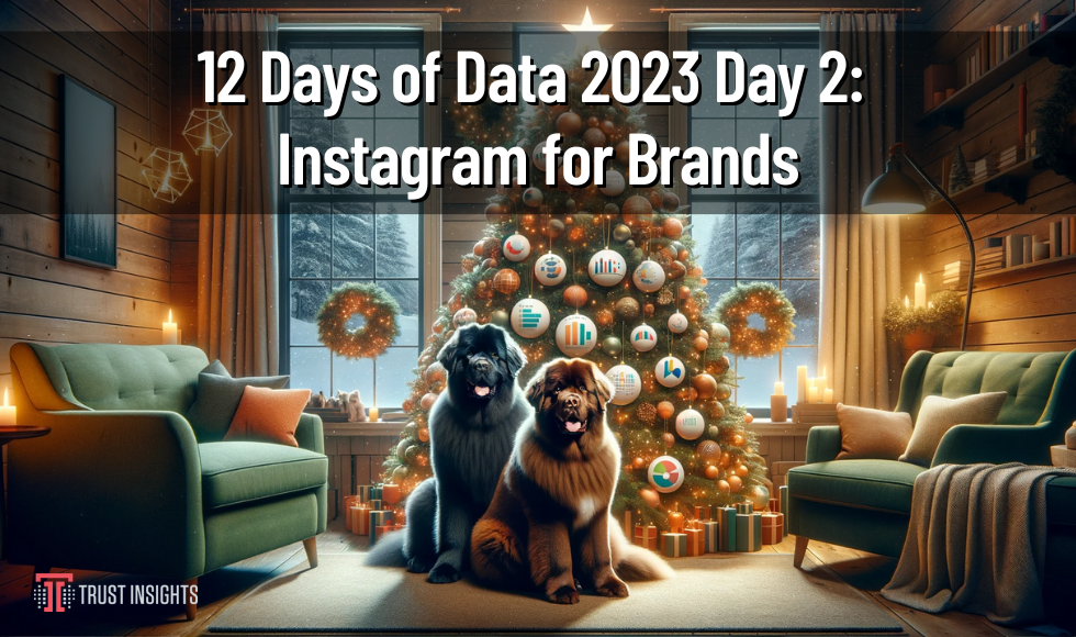 12 Days of Data 2023 Day 2 Instagram for Brands (1)